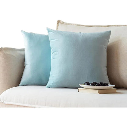 PACK OF 2 CUSHIONS