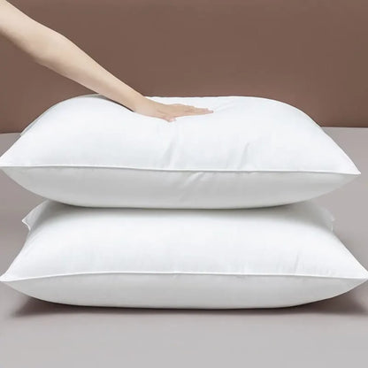 PACK OF 2 CUSHIONS